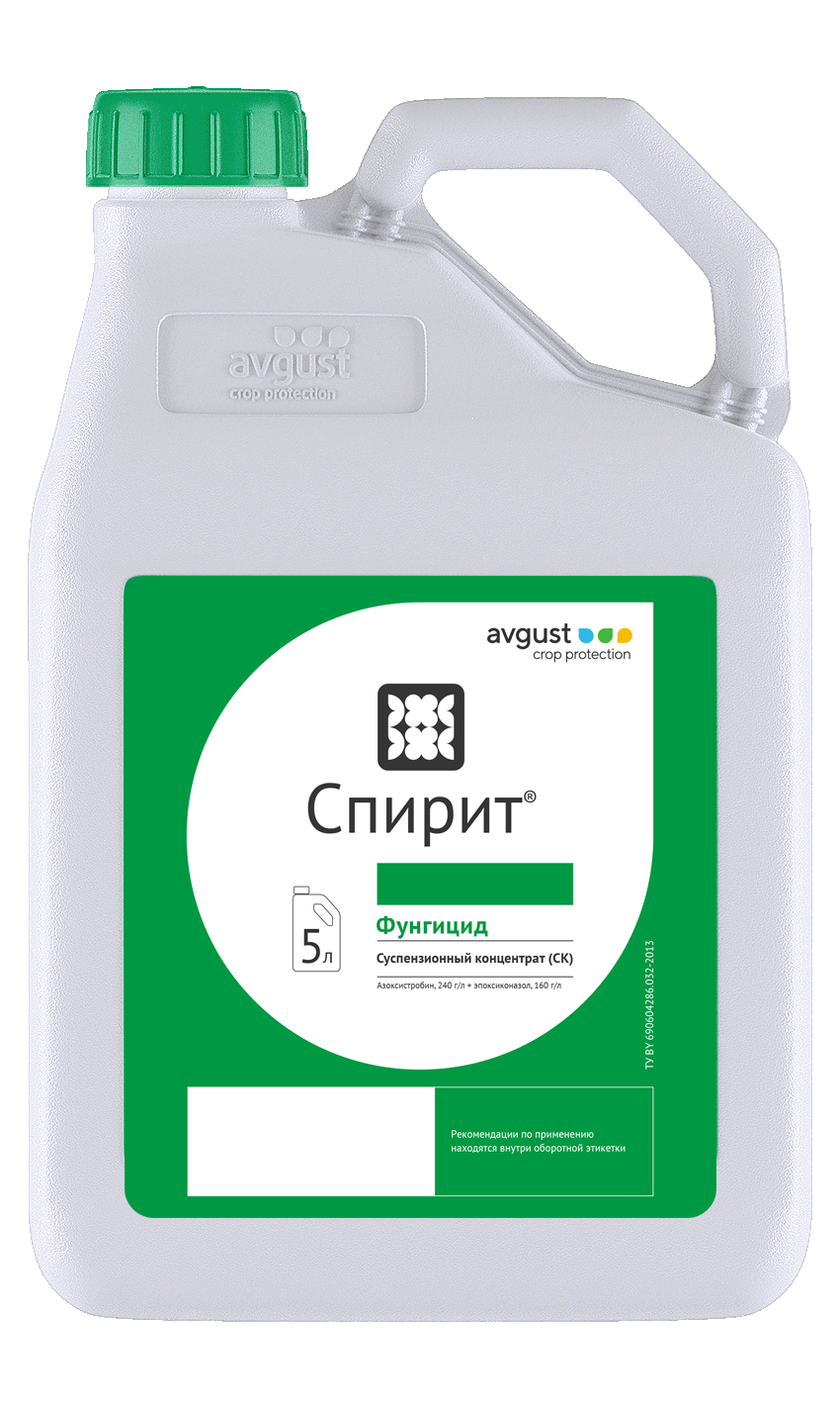 НордСтрим