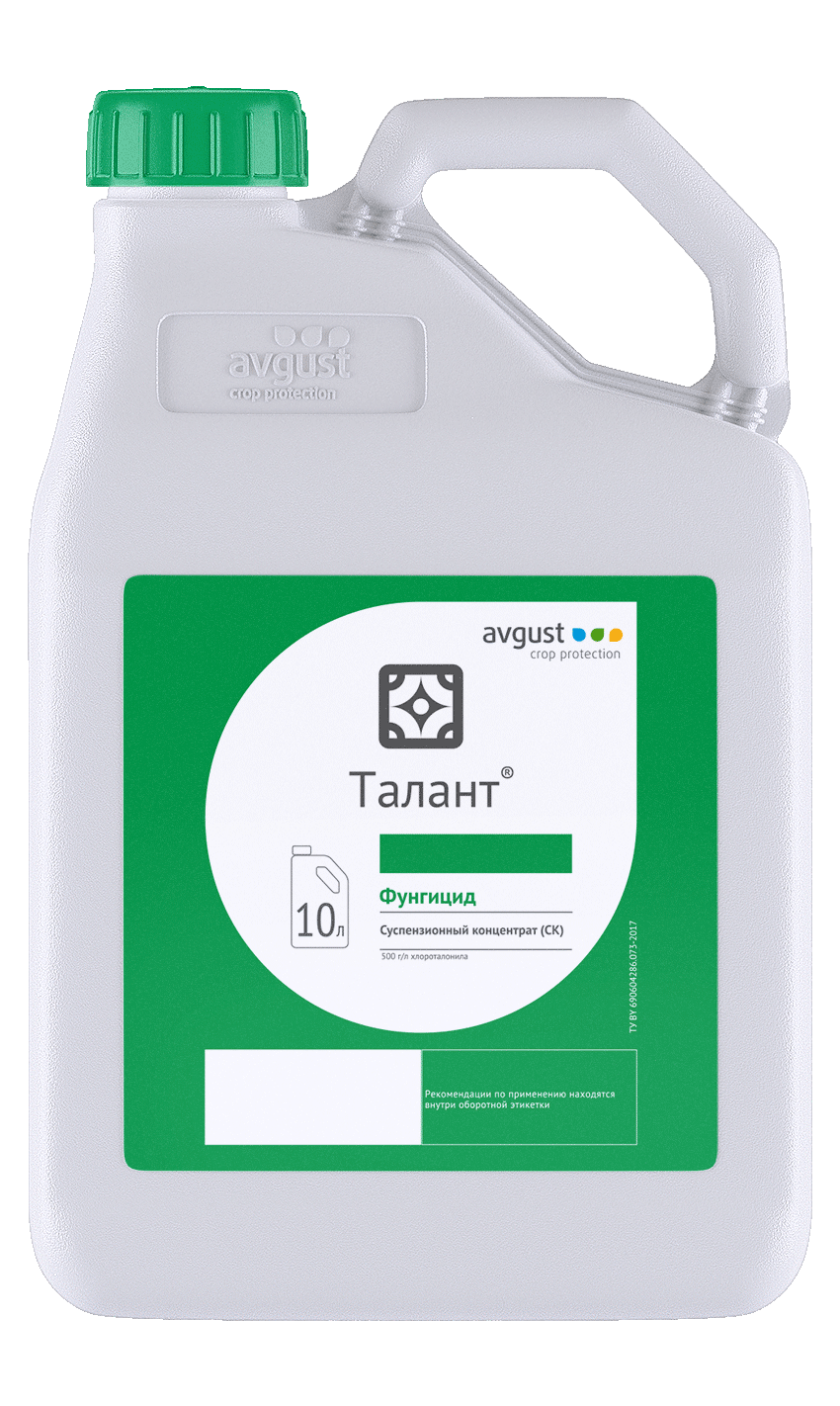 НордСтрим